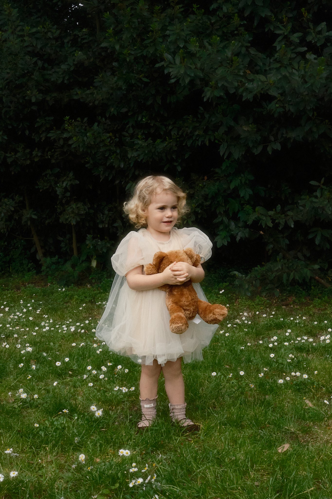 Charlotte Dress
