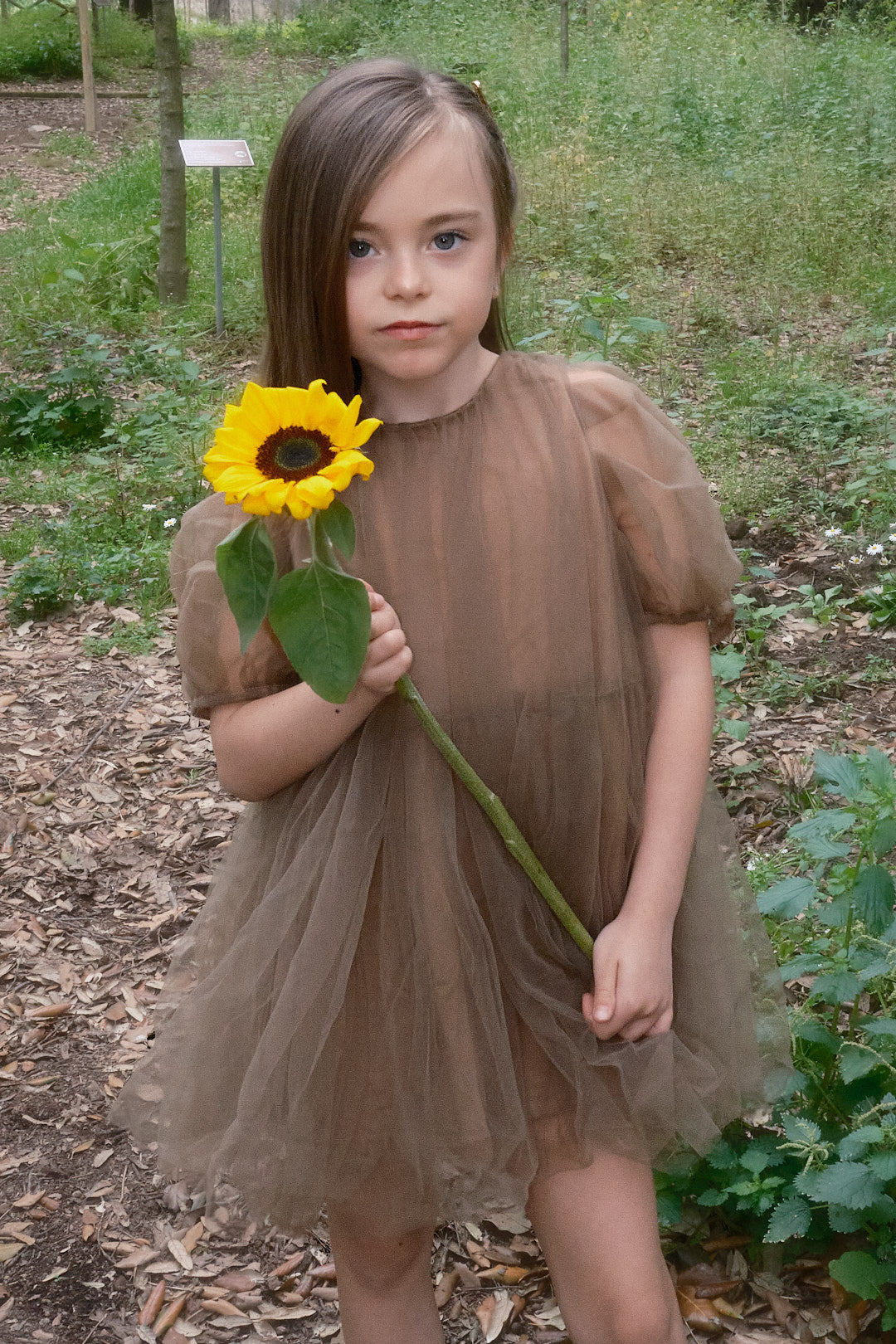 Charlotte Dress